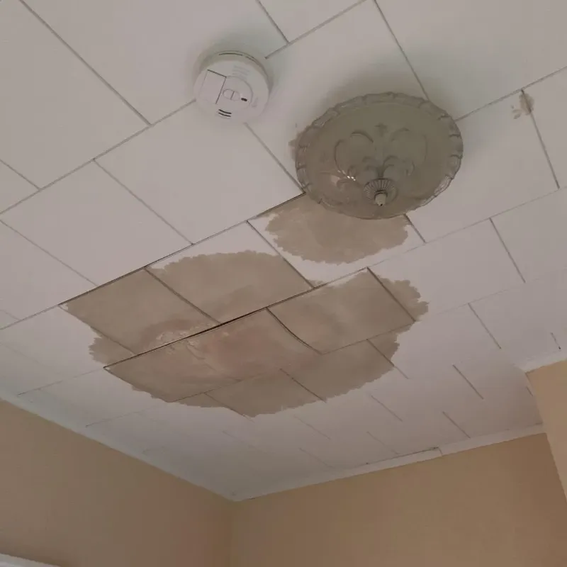 Ceiling Water Damage Repair in Eielson Air Force Base, AK