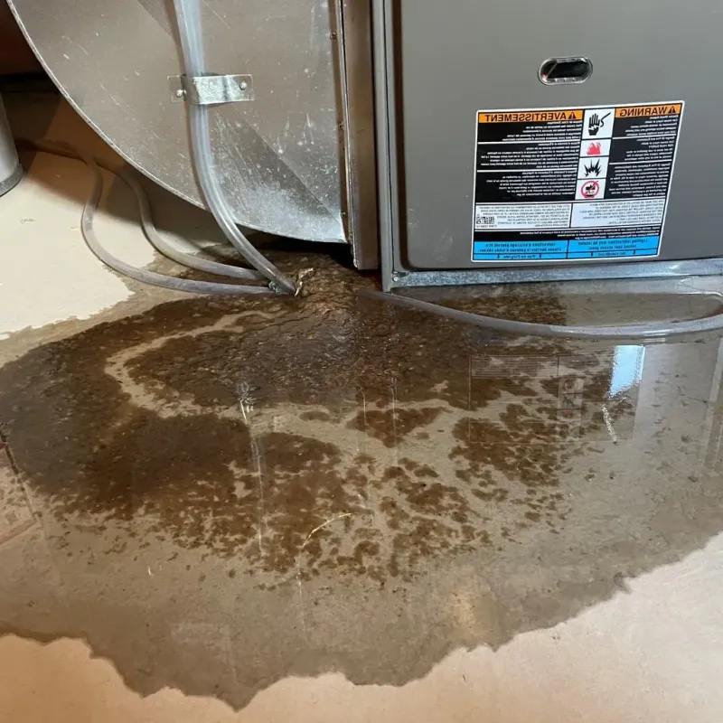 Pipe Burst and Leak Restoration in Eielson Air Force Base, AK