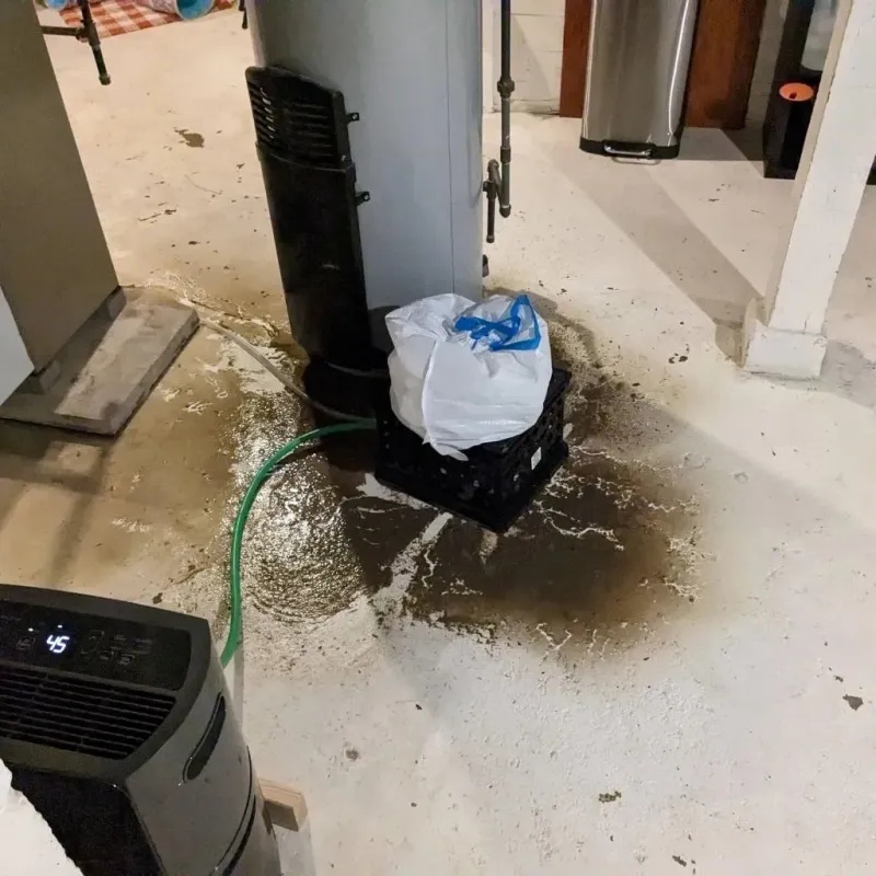 Sewage Backup Cleanup Service in Eielson Air Force Base, AK